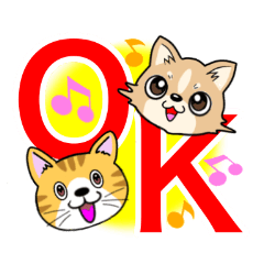 Co-expression of chihuahua dog and cat