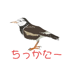 こっちの懐かしい方言・屋久島栗生鳥編