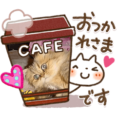 Mimi_20200602162523