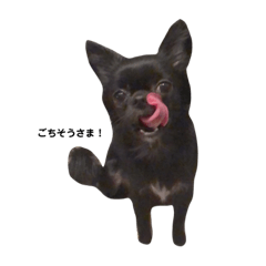 yuina_20200601231542