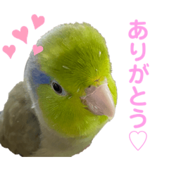 mizuki_20200602165259