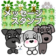 shuna rinreiko message
