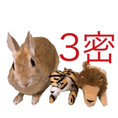 unosan uno