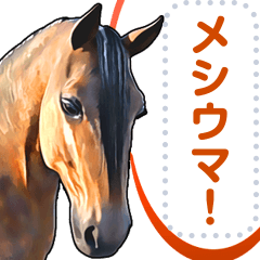 動物リアルイラストメッセージスタンプ