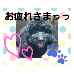 YURINA_20200602212243