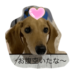 cocoa_20200602214054