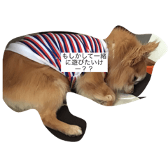 Kitty_20200602214947