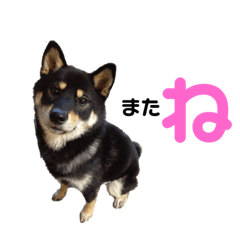 saori_20200602232409