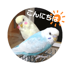 Cocoa_20200602183632