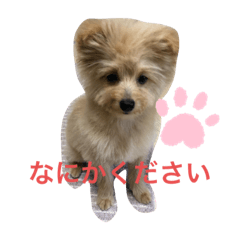 marina_20200602205025