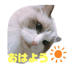 chie_gumi20200602272324272324272357