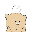 Cute and fluffy bear