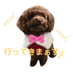 mimi_20200602182344