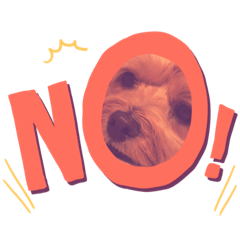 piano_20200603065432 Cocoa