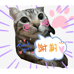 呆妹的心情貼圖