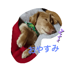 mimi_20200603125351