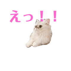 okome_20200603142423