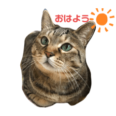 rina_20200603133647