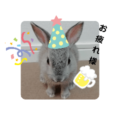 mizuki_20200603145845