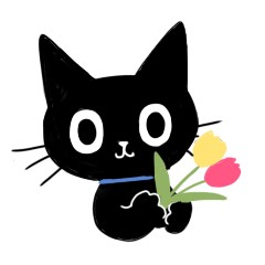 Black cat Molmol  2