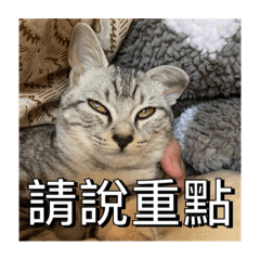 小笨米沒技術貼圖1