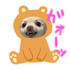 arisa_20200602231505