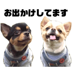 Alice and Jill's stamp3