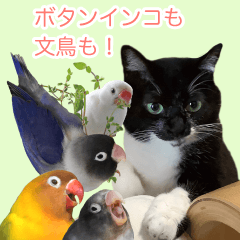 鳥&猫スタンプ第3弾  お仕事&敬語