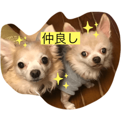 RINA_20200603174710