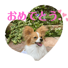 yukari_20200603213831