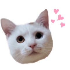 kanae_20200604010403