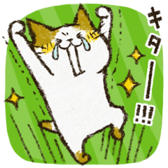 Cute cat 'Cyanpachi'. -Extra edition 1-