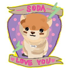 Soda The Dog