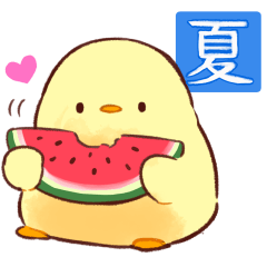 Soft and cute chick(summer)(tw)