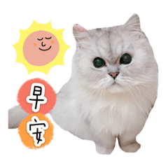 安安寶貝♡