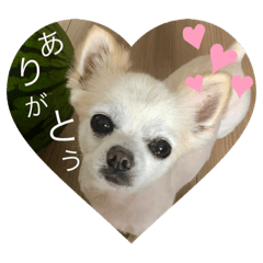 rina_20200603234736banichan381