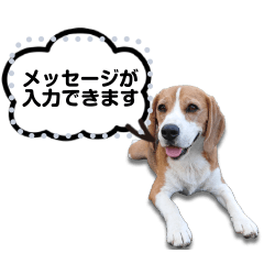 beagle message sticker