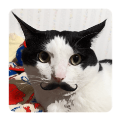 TONTON_20200603235214