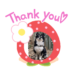 SATOSHI_20200603194621