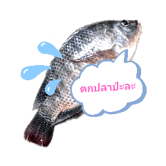 Beloved fish