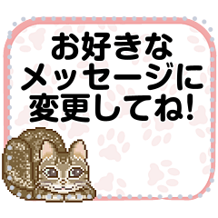 Message sticker of cats 1