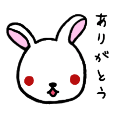 red eye rabbit 1