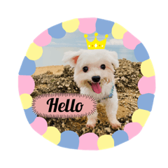 DiDi Linnnnnnnnnnnnnn