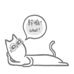 Yuki, the cat - murmur 