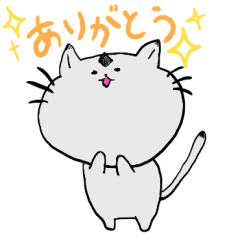 Japanese cat"POCKEY"picture