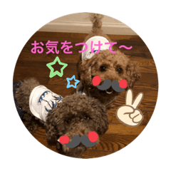 nagisa_20200603190721