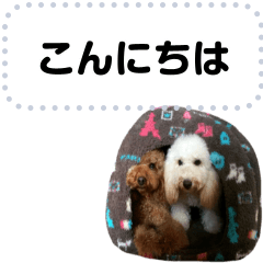YUZUKABO Messege Sticker