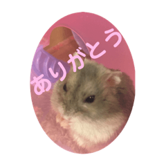 Mimi_20200604123042