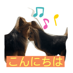 kazumi_20200604141937