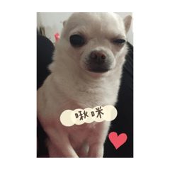 cute咩妹